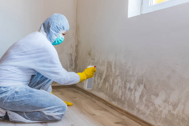 Commercial Mold Remediation assessment for commercial property in Shelbyville